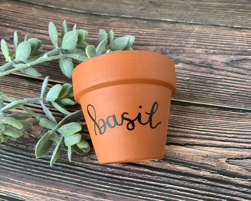 Custom Hand Lettered Terra Cotta Starter Pots Jaded Studios Shop